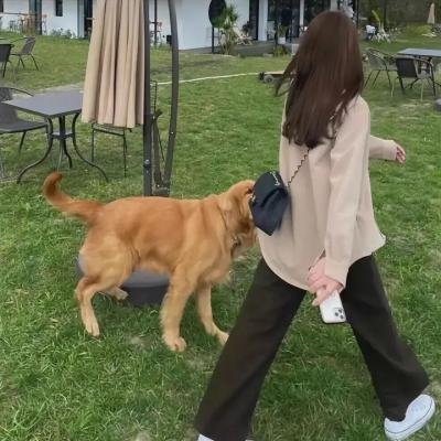 僵粤语